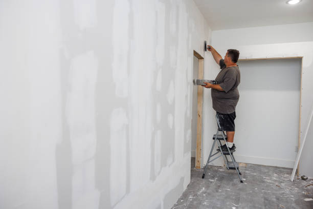 Professional Mold Removal in Old Brookville, NY